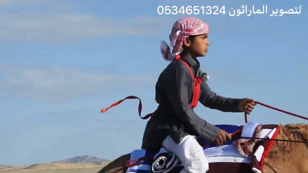 ركض الرمضه يوم الخميس 1443/6/17 هـ المركز الاول: لطام لـ سعود بن شليويح الجهني