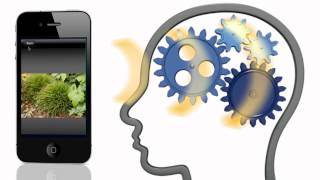 Flashcard Maker Pass The Exam screenshot 2