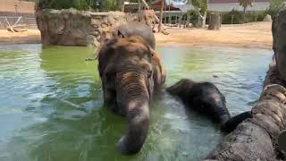 June 30 - Tesss 40Th Birthday