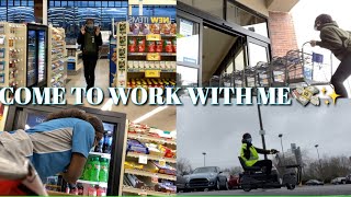 COME TO WORK WITH ME FOOD LION EDITION💰|KICKINITWITKEYZ