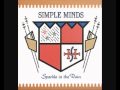 Simple Minds - Book of Brilliant Things