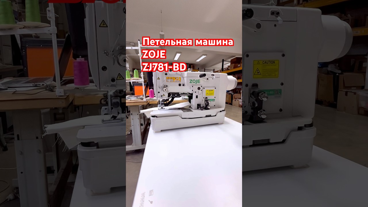 Петельная машина ZJ781-BD 