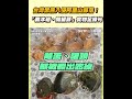 台灣黑熊入侵