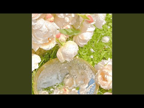 一个人生活