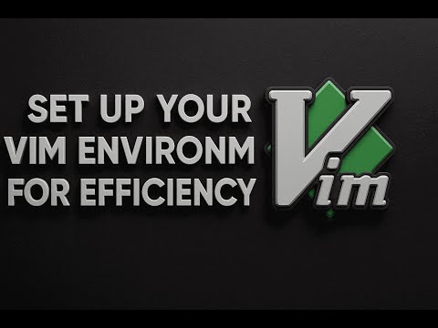 🖥️ How I Set Up My VIM/VI Environment for Efficiency! ⌨️