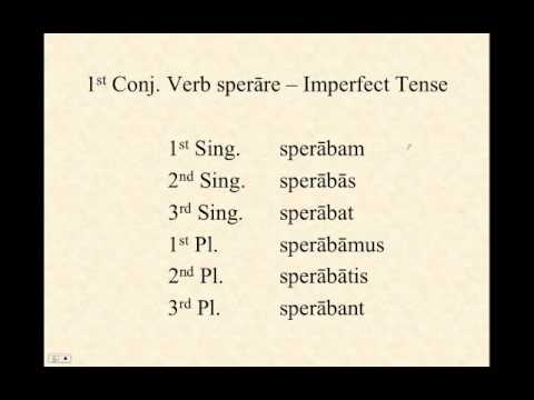 1st Conjugation Verbs in Latin