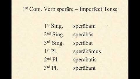 1st Conjugation Verbs in Latin