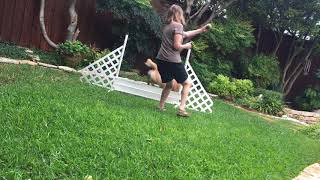 Reverse spin Practice