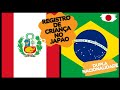 Registro de Criança no Japão: Como Registrar Seu Filho com Dupla Nacionalidade (Brasileira Peruana)