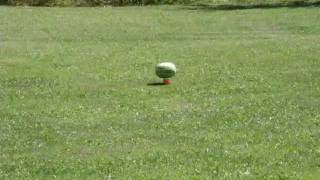 Tannerite vs. Watermelon