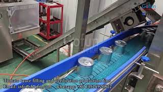 CE certified tomato sauce processing machine automatic PLC control turnkey project