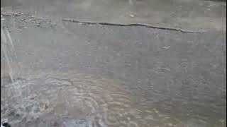LIGO SA ULANAN