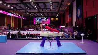 EL SAKKA Yasir (PLE)_2025 Artistic Junior Worlds - _Qualifications_Pommel Horse