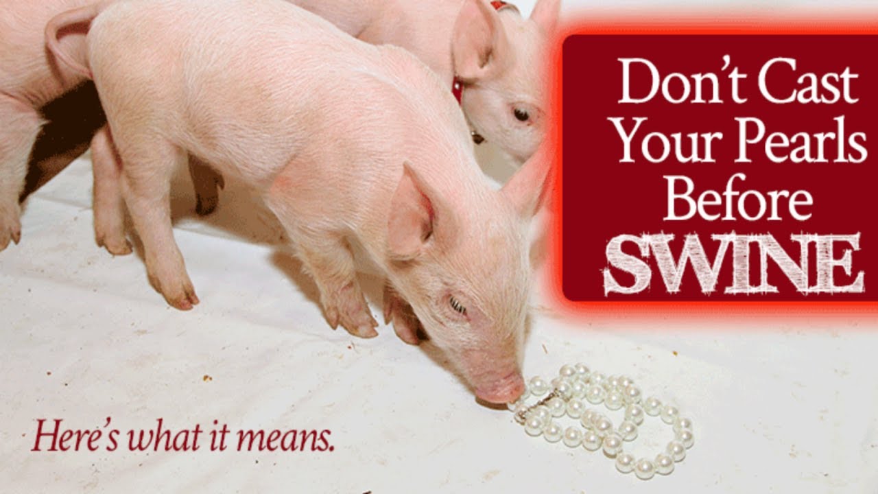 Do not cast your pearls before swine youtube