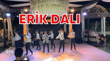 Thumbnail of Ömer Faruk Bostan & Grup Kaşıks - Erik Dalı (Canlı Performans)