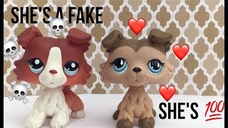 Real Lps Collie VS Fake