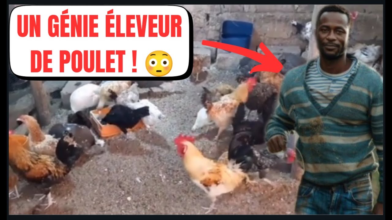 Il fait un  bon élevage très rentable chez lui. 