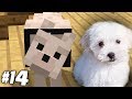 IL CANE BIANCO COME IL MIO CUCCIOLO! - Vanilla #14