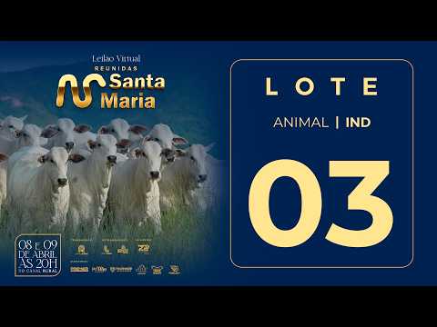 LOTE 03  FSMA 3190