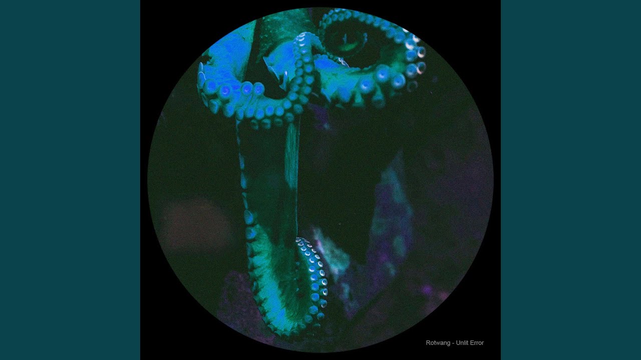 Echoes Collapse auf YouTube ansehen Echoes Collapse auf YouTube ansehen