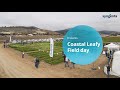 Syngenta vegetable seeds 2023 coastal leafy field day in salinas california