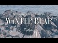 Second member cover winter bear  v by pan  tastyz