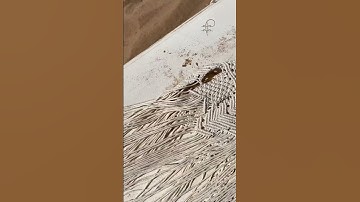 Macrame skirt and top #macrame #macrameknots #macrametutorial #macramedesign