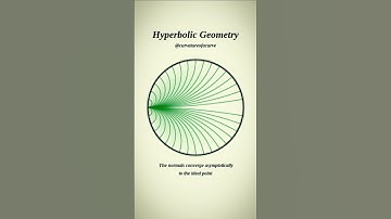 Hyperbolic Geometry 🇧🇷 #maths #physics #science #education