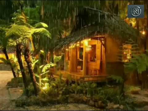 Suara Hujan Lebat, Petir Dan Piano Menemani Tidur Anda, Insomnia Hilang #suarahujan #relaxing