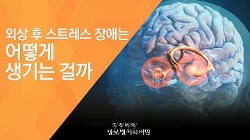 외상 후 스트레스 장애는 어떻게 생기는 걸까 - (2014.7.9_508회 방송)_고통의 기억, 바꿀 수 있다! - 외상 후 스트레스 장애