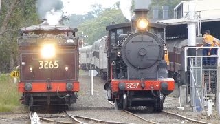 Australia: Steam loco #3265 with the Buxton shuttle, 01Mar15