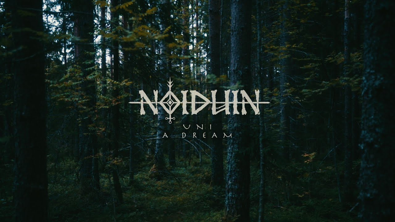 Noiduin - Uni (A Dream) - Official lyric video - YouTube