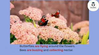 🎥 A Day at the Park – Present Continuous Story 🌳🕒