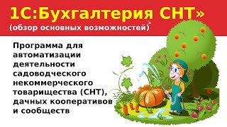 #1СдляСНТ Демонстрация возможностей &quot;1С:Бухгалтерия СНТ&quot; (фирма &quot;СЕРВЕР&quot;)