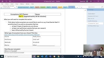 Week 4 CAT expectations