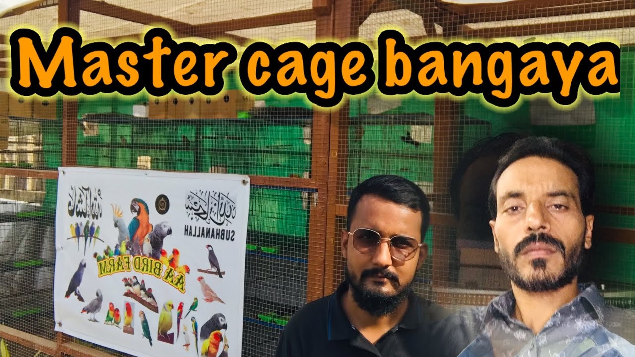 Master cage - YouTube