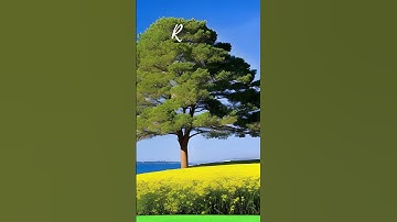 predict your future🤔🤔|Motivational Quotes|inspirational|thoughts|#short #success #advice