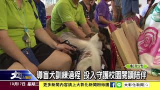 1061017導盲犬訓練過程 投入守護校園閱讀陪伴