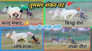 तमसर शकर पट दसर दन Top क सभ जड