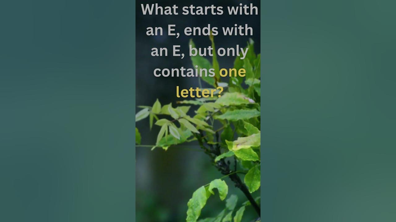 starts-with-e-and-ends-with-e-and-has-1-letter-shortsvideo-shorts