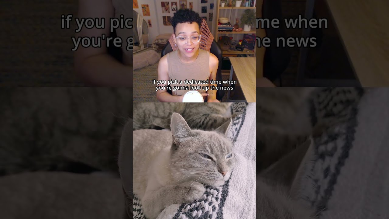 How To Handle The News Politics Activism Organizing Cattok Leftist Cat
