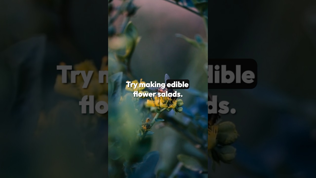 Make Edible Flower Salads: Fresh & Creative! 