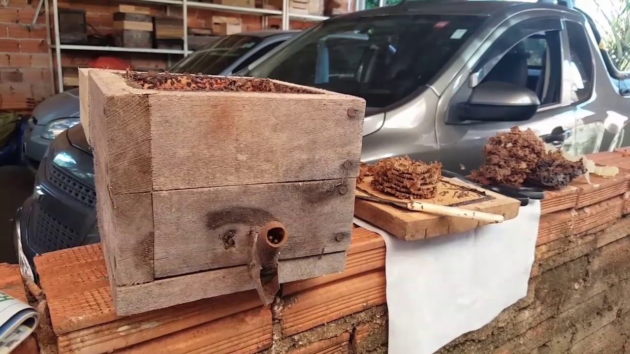 Divisão de iraí - Meliponário Abelha Jataí