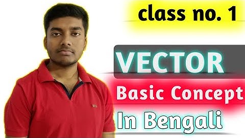 Vector basics-01 |Scalar and Vector| Types and properties of Vectors| ভেক্টর রাশি ||class 11 physics