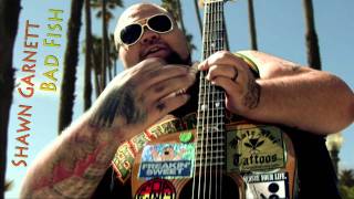 Badfish - Sublime - Cover by Shawn Garnett