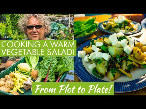 cooking-a-warm-veggie-summer-salad-3/8/2019