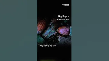 Big Poppa The Notorius BIG 