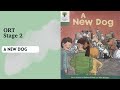 [ORT] Stage 2 A New Dog Read Aloud