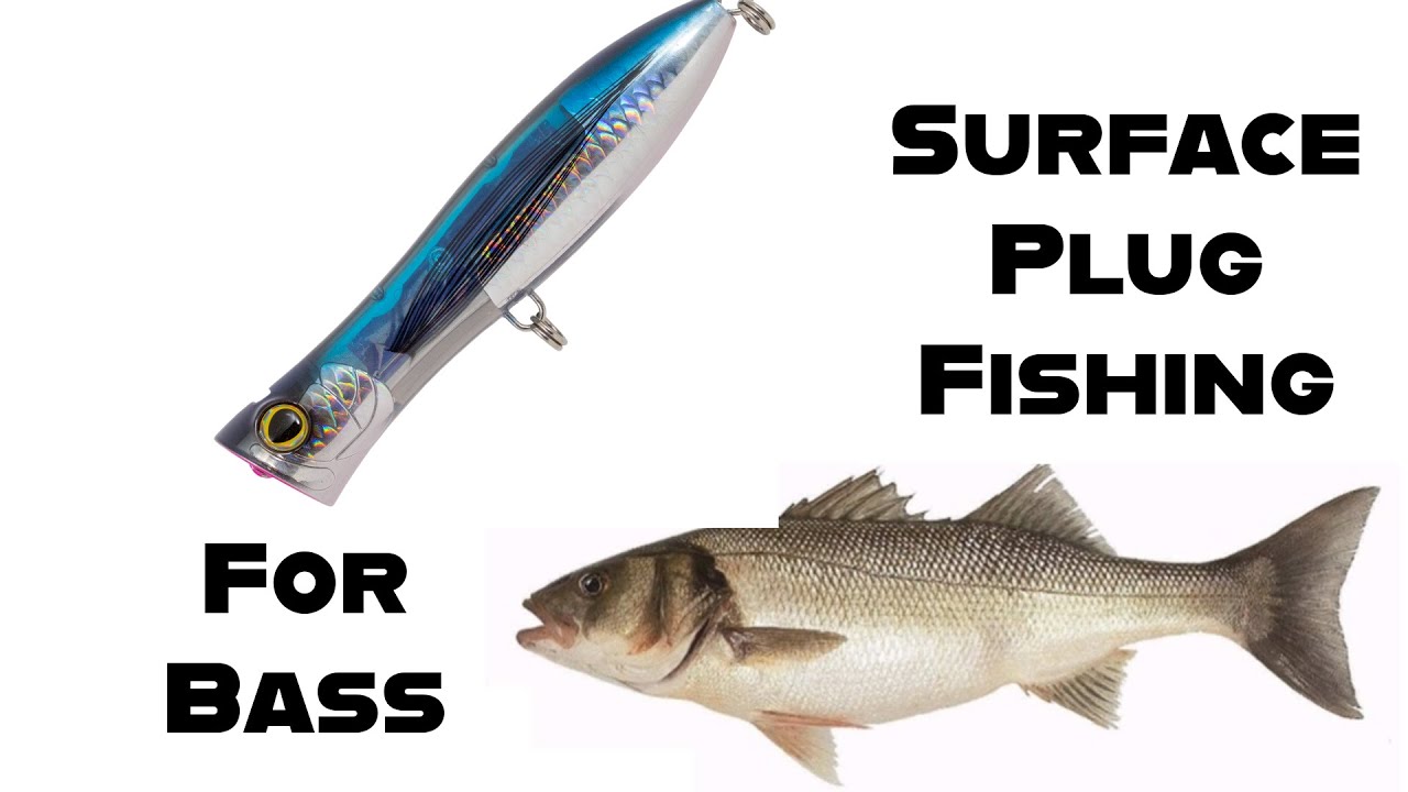 How To Catch Bass Using Surface Plug Lures (Lure Fishing UK) Sea
