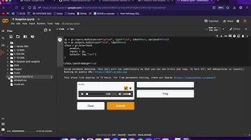 Speech Emotion Detection classification Project for 50.039 Deep Learning, SUTD